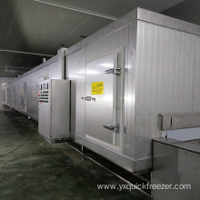 High Quality Meatball Impact Quick Tunnel Freezer